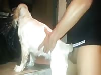 Guy Fucks His Very Obedient Dog Gay Beast Com - Beastiality Porn With Men