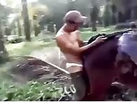 Guy Fucks Horse While Friend Films Gay Beast Com - boy Fucks Animal