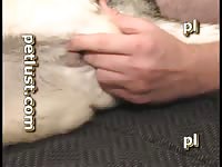 Guys And Female Dogs Cum Inside P203 New Siberian Petlust Com- Man Fucks Pet