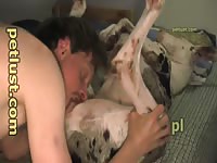 Guys And Female Dogs P250 Attic Pearl Petlust Com- boy Fucks Pet