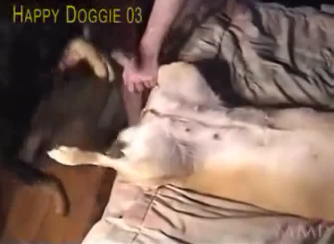 Doggie Porn - Happy Doggie Full GayBeast - Men Fucks Pet - Extrem Sex and Taboo Porn.