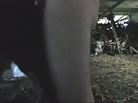 Heifer Anal GayBeast.com - Animal Sex Movie With Man