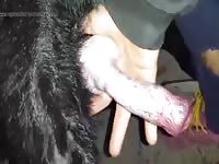 Hold The Cock GayBeast Rip - Animal Sex Movie With Man
