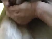 Animal sex videos in Handan
