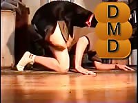 Horny Rottweiler GayBeast - Man Fucks Animal