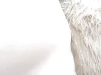 Horse Anal 2 GayBeast.com - Beastiality Men