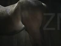 Horse Fucks Man 5 GayBeast.com - Beastiality Man