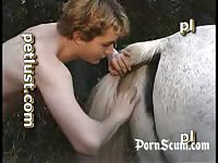Horse Misty Pony Men And Animals Petlust- Animal Boy