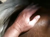 Horse Sexy Ass GayBeast.com - Animal Dude