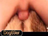 Hot Bitch 5 GayBeast.com - Men Fucks Animal - Extrem Sex and Taboo Porn.  