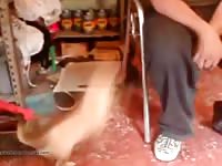Hot Dogg GayBeast - Bestiality Porn With Men