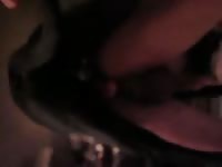 Dane Knot GayBeast - Animal Porn With Boy