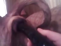 Deep Dildo GayBeast Rip - Beastiality Sex With Man