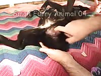 Dildo In A Bitch 4 GayBeast - Men Fucks Animal