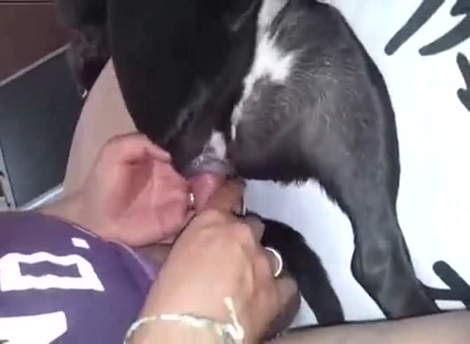 Xxxdog Boy - Dog And Man 3 GayBeast - boy Fucks Pet - Extrem Sex and Taboo Porn.