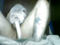 Dog Fuck 10 GayBeast.com - Man Fucks Animal