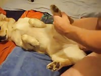 Dog Fuck 21 GayBeast Rip - Beastiality Sex With Man