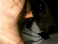 Dog Fuck 9 Gay Beast Com - Bestiality Man