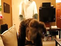 Dog Fucking 1 GayBeast - Bestiality Sex With Dude