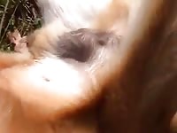 Dog Gets Jerked Gay Beast Com - Bestiality Sex Tube With Dude