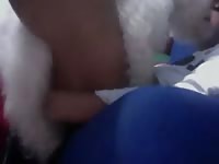 Dog Gives It To Him GayBeast Rip - Zoophilia Porn Movie With Man