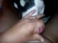 Dog Licking Cock Gay Beast Com - boy Fucks Pet