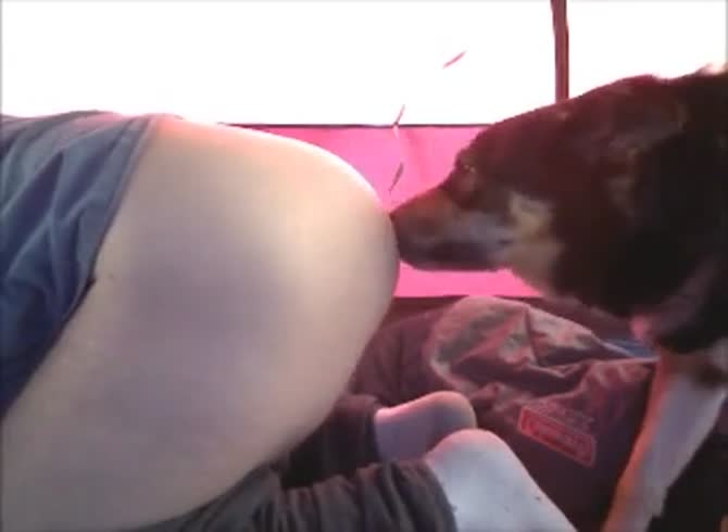 Dog Lick Pussy And Ass