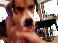 Dog Licks Gay Beast Com - Beastiality Porn Video With Boy