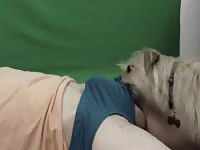 Dog Licks Peanut Butter Dick Gay Beast Com - Animal Sex Video With Dude