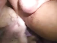 Dog Mount And Dildo GayBeast - Man Fucks Animal