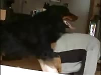 Dog Pounding Me Deep GayBeast - Animal Men