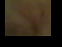 Dog Pussy Playing GayBeast.com - Animal Dude