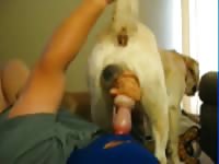 Dog Suck 8 Gay Beast Com - Bestiality Dude