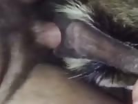 Dog Tag Team Gay Beast Com - Zoophilia Sex With Boy