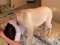 Dog Wants It Petsex Com - Animal Sex With Boy