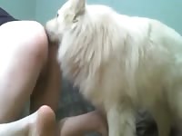 Diaper Dog Porn - Doggy Diaper Anal GayBeast.com - Bestiality Boy - Extrem Sex and Taboo Porn.