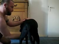 Dogs Blowjob GayBeast Rip - Beastiality Sex With Men