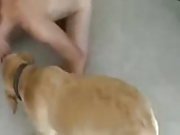 Duas Dog Gay Beast Com - Beastiality Sex Video With Men