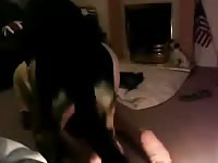 Dude Gets Fucked By Dog On Webcam Gay Beast Com - Beastiality Sex Movie With Dude