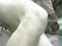 Fdog And Man GayBeast.com - Beastiality Porn With Man