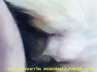 Female Dog 5 GayBeast - boy Fucks Animal