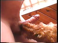 Results for : dog fuck girl rough blowjob