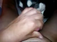 Female Dog Lick Suck My Dick Eat My Sperm Gay Beast Com - Zoophilia Sex Tube With Dude