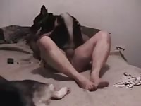 Female Dog On Top 1 GayBeast Rip - boy Fucks Pet