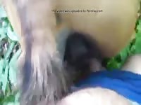 Horse Pees Inside Pussy Porn - Female Horse Pee GayBeast.com - Zoophilia Boy - Extrem Sex and Taboo Porn.