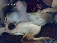 Finger Fun Beastboy138 German Shepherd Fingerplay 0001