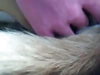 First Time Fingering GayBeast - Animal Porn Tube With Dude