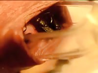 Flies Under The Foreskin 3 GayBeast - Man Fucks Pet