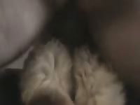 Fluffy Dog Buttsex Gay Beast Com - boy Fucks Pet