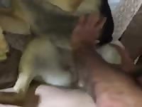Friends Fuckin The Dog GayBeast Rip - Bestiality Man